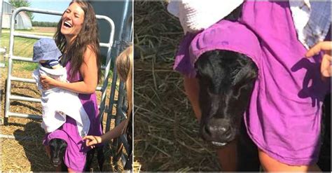 Farm Couple Helps Pregnant Cow Through Labor Then They Witness A One In 11 Million Event