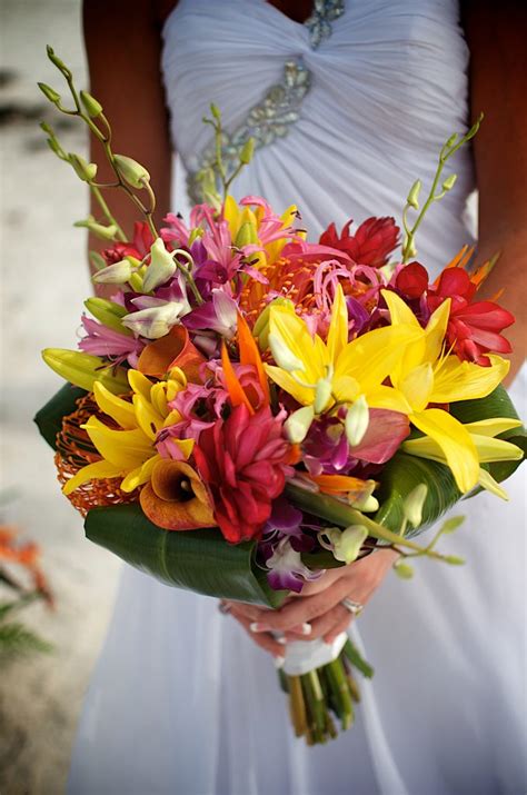 Maybe you would like to learn more about one of these? Tropical Beach Wedding Flowers