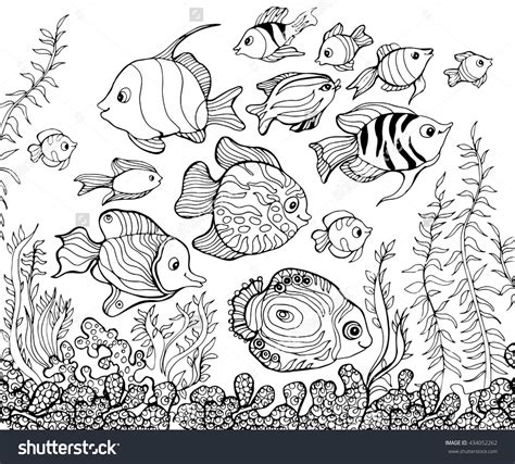 Outline Drawing Underwaterfishcoloring Pages Kids Stock Vector Royalty