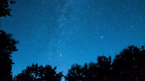 Starry Sky Trees Night Stars Glitter Radiance 4k Hd Wallpaper