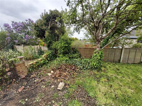 How to deal with an overgrown garden? HELP! How do tackle my overgrown garden — BBC Gardeners ...