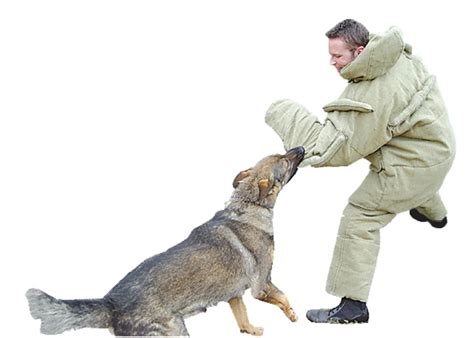 The best labrador training supplies. Elite K-9 Inc. Dog-bite Suit in K-9 Training & Equipment