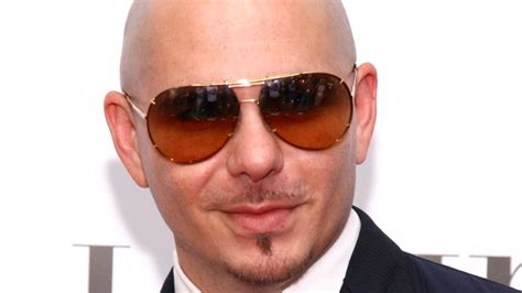Pitbull 5 Surprising Facts About The Superstar Cnn
