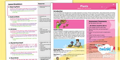 Kertas soalan peperiksaan pertengahan tahun 1 dlp. FREE! - Science: Plants Year 2 Planning Overview