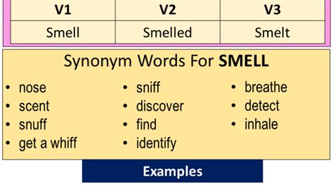 Smell Past Simple Simple Past Tense Of Smell Past Participle V1 V2 V3