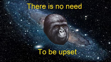 there is no need to be upset that really rustled my jimmies know your meme