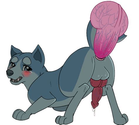 Rule 34 Anal Animated Anus Blush Canid Canine Disembodied Penis F A