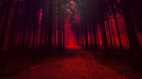 Forest With Trees In Red Effect Hd Red Aesthetic Wallpapers Hd
