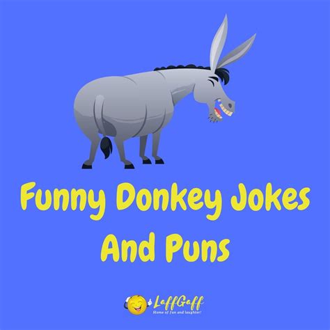 37 Hilarious Donkey Jokes And Puns Laffgaff