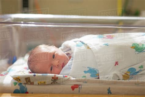 Newborn Babies In Hospital Nursery Thenurseries