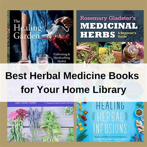 The Best Herbal Medicine Books For Your Home Library