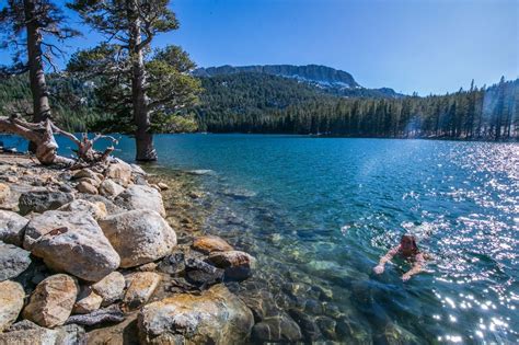 Summer In Mammoth Lakes Means Swimming At Horseshoe Lake Whitmore Pool