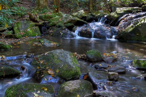Roaring Forks Stream In 2022 Smoky Mountain National Park Great