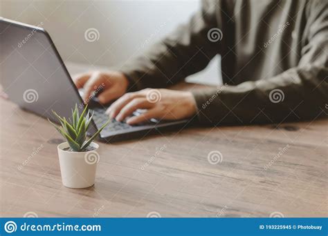 Man Typing On A Laptop Keyboard On A Wooden Table And Tree Stock Image