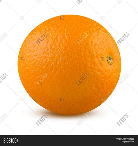 Orange Isolated Image And Photo Free Trial Bigstock