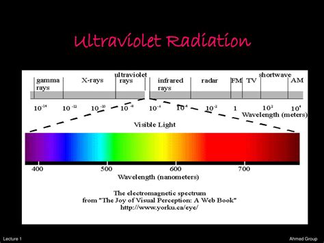 Ppt Mammalian Radiation Biology Course Powerpoint Presentation Free