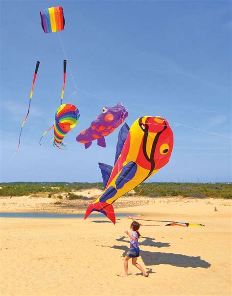 Flying Kites On The Beach Near Nags Head Us Climate Resilience Toolkit