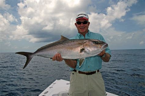 Gulf Of Mexico Greater Amberjack Size Limit Change Approved By Fwc