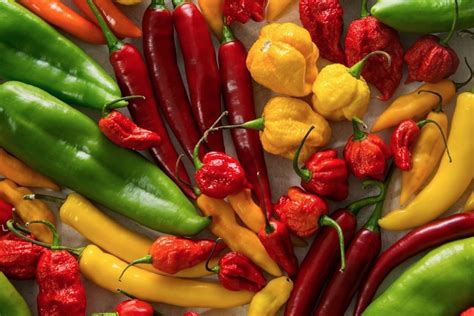 Know Your Chile Peppers The Ultimate Guide Real Food Mostly Plants