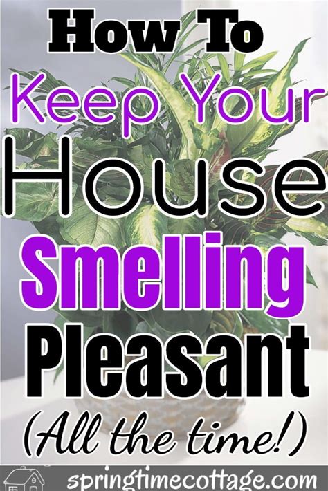 How To Keep Your Home Smelling Pleasant House Smells House Smell
