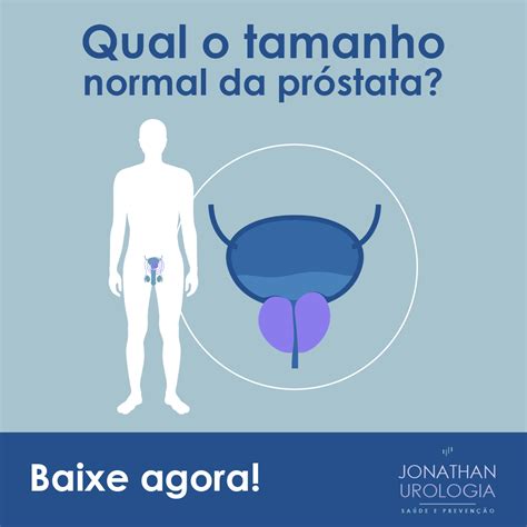 Qual O Tamanho Normal Da Próstata Aos 65 Anos