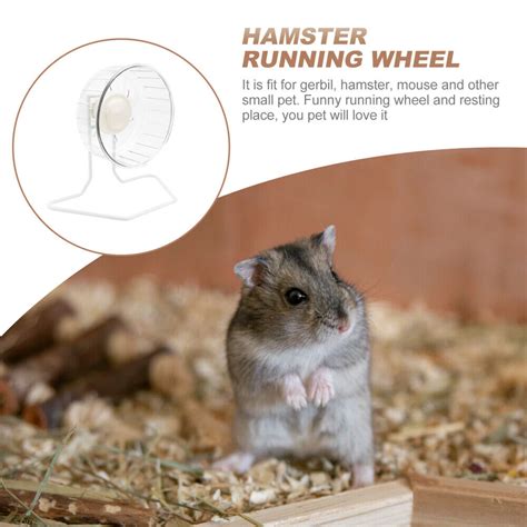 Hamster Silent Wheel Hamster Jogging Wheel Hamster Balls Hamsters On A Wheel Ebay
