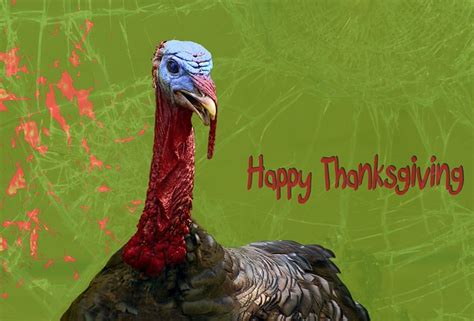 Happy Thanksgiving Flickr Photo Sharing