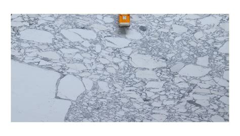 Arabescato Corchia 20mm Honed Marble Cdknz