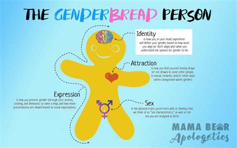 The Genderbread Person Part 1 Gender Identity Mama Bear Apologetics