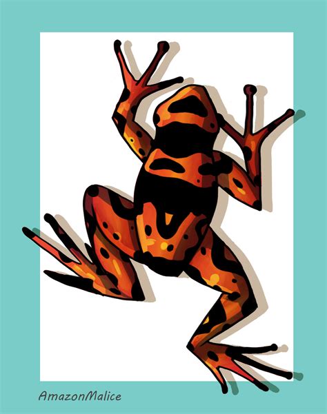 Poison Dart Frog Clip Art