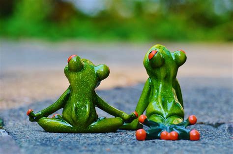Free Photo Yoga Frogs Relaxed Figures Free Image On Pixabay 914517