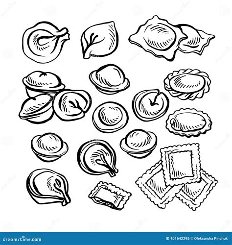Sketch Hand Drawn Pelmeni Meat Dumplings Food Cooking Stock Vector Illustration Of