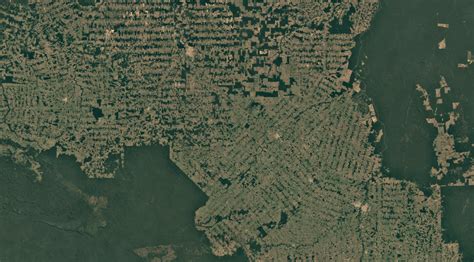 Amazon Rainforest Deforestation Worst In 10 Years Says Brazil Bbc News