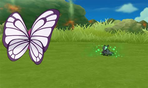 Bi Pride Butterflies Pokemon Ultra Sun And Ultra Moon Mods