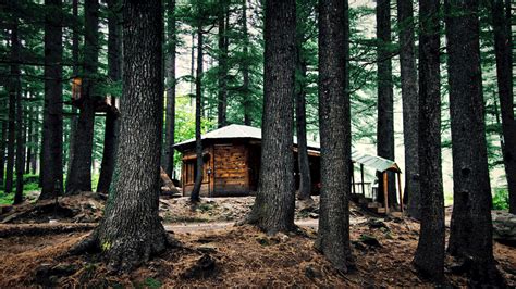 This popular cabin in candler, north carolina offers a peaceful retreat for couples looking to get away from it all. 5 Super Normal Cabins in The Woods You Can Rent This Fall | GQ