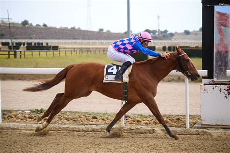 Carreras De Caballos Los Jueves En El Gran Hipódromo De Andalucía En