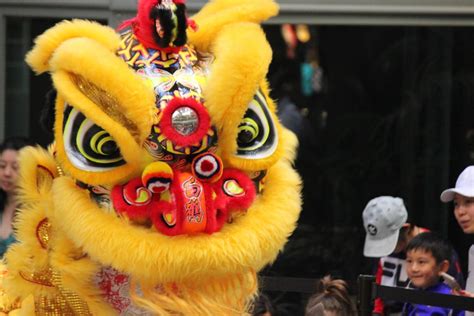 Maybe you would like to learn more about one of these? New year event celebrates Chinese culture - Scot Scoop News