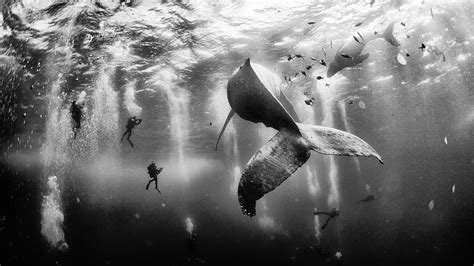 2015 National Geographic Travel Photo Contest Winners