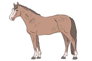 We tried our level best to draw in such a way that it will be easy to understand, easy to follow and fun 2 draw. How to Draw Horse Step by Step - Easy Drawings for Kids ...