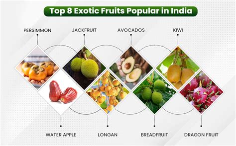 How To Grow Exotic Fruits In India Popular Exotic Fruits List
