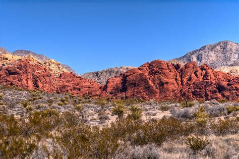 Desert Colors Photograph By Daniel Milligan Fine Art America