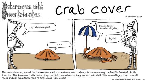 Past Comics Interviews With Invertebrates