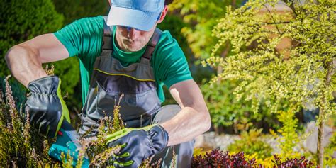 Spotting Risks And Keeping Safe How To Manage The Risks Of Landscaping