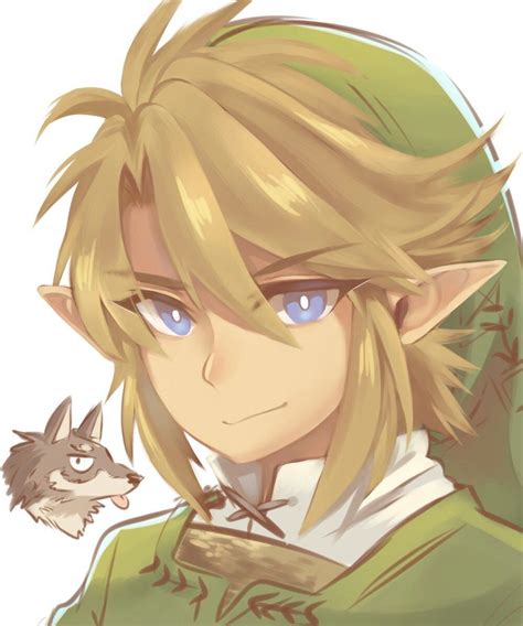 Link Legend Of Zelda Twilight Princess The Legend Of Zelda Legend Of
