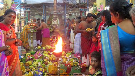 Tamil New Year Celebration Images Sri Lanka High