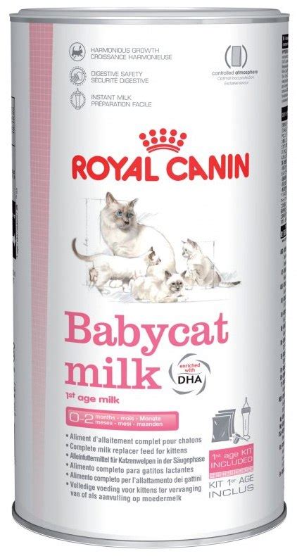 Royal canin kitten cat food for kittens (4 to 12 months old). ROYAL CANIN® Babycat Milk Wet 🐱 Kitten Food