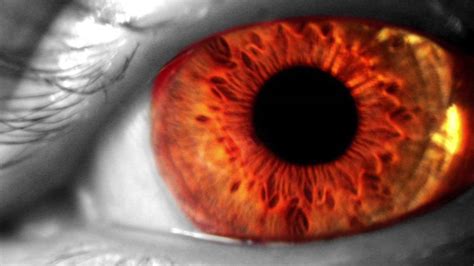 Change Your Eye Color To Orange In 10 Seconds Hypnosis Biokinesis