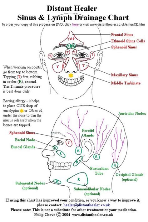 Lymphatic System Drainage Chart