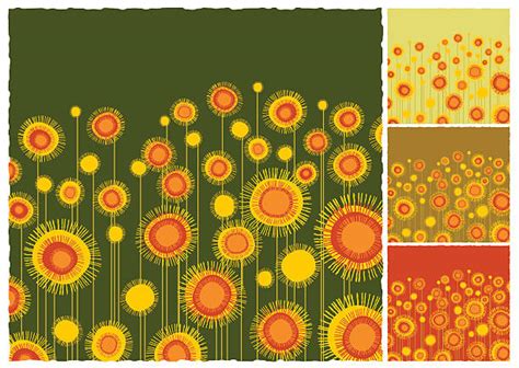 Sunflower Field Illustrations Royalty Free Vector