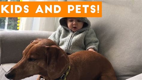 The Funniest Pets Meet The Cutest Kids And Babies Of 2017 Weekly